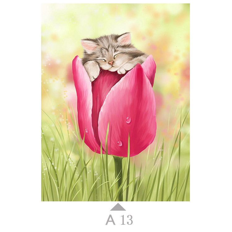 Multicolor-A13