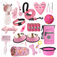 Kit de démarrage personnalisé pour chiots, accessoires pour animaux de compagnie pour chiens de petite et moyenne taille