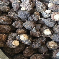 Vente en gros Tablettes de Maca Ultimate Plus Maca Black à base de plantes simples et saines chinoises pour hommes