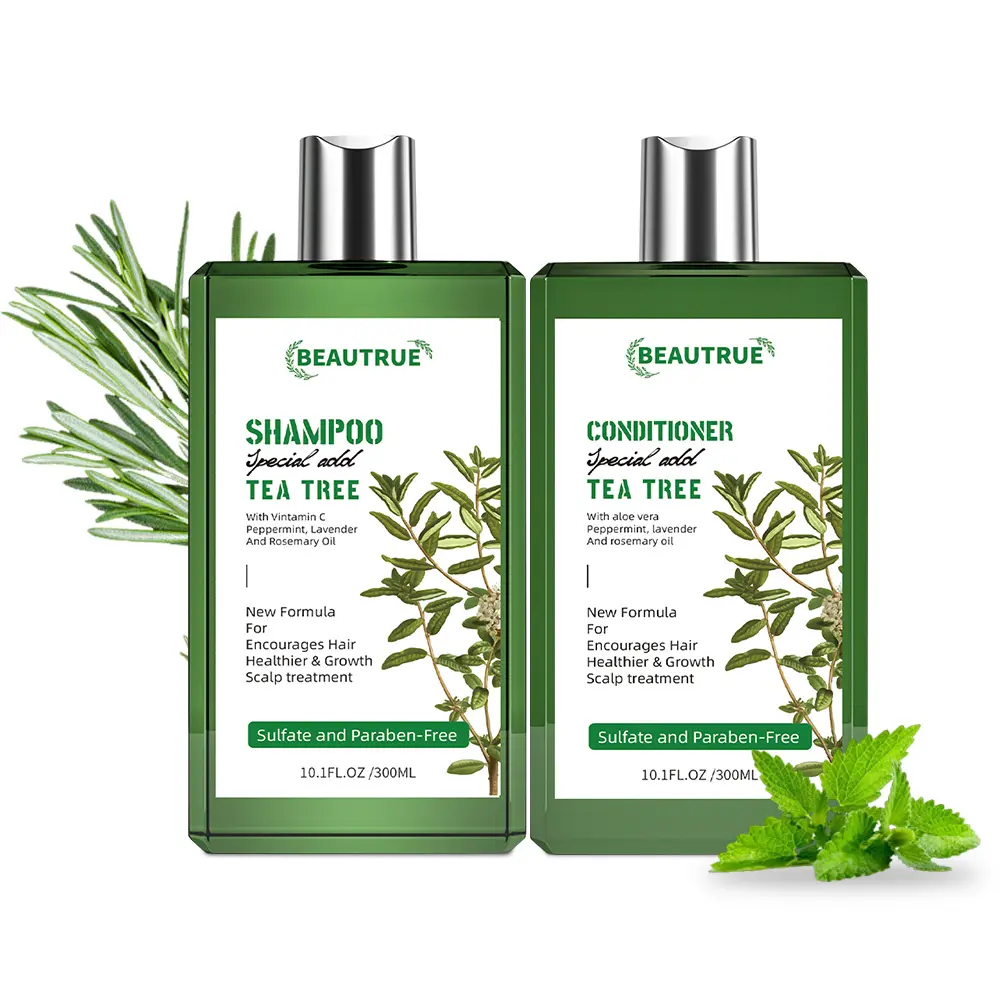Großhandel Custom Mint Teebaum Shampoo und Conditioner mit Rosmarin öl für Haar pflegende Öl kontrolle und gesunde Pflege Set