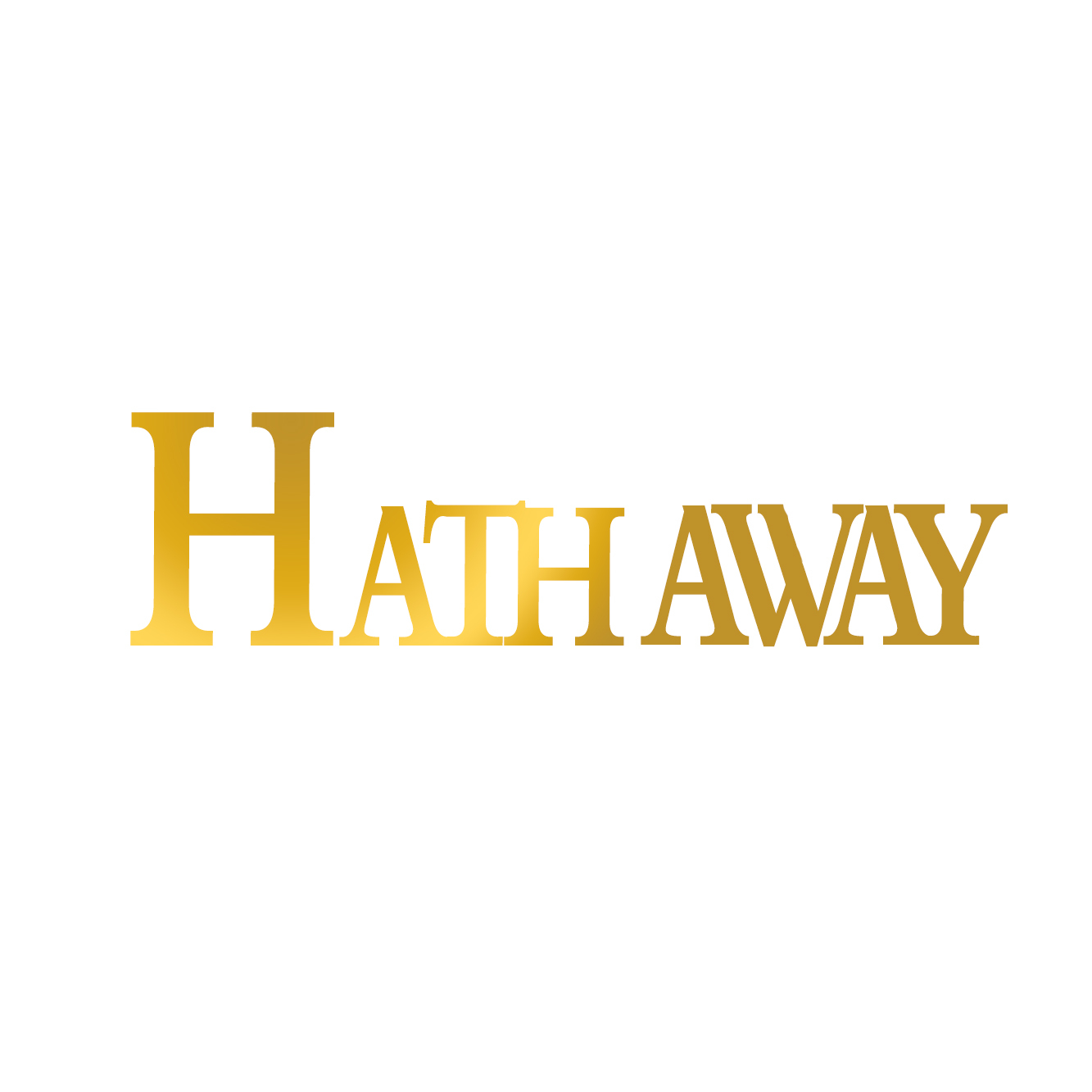 Zhengzhou Hathaway Vision Technology Co., Ltd. logo