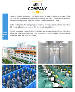 CYB0505ท่อแสดงผลดิจิตอล LED 4หลักสำหรับวัดและตรวจสอบแรงดันน้ำมันปิโตรเลียมและโลหะวิทยา - Product Image 5