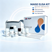 Kit ELISA pour la détection des anticorps protéiques GP3 du virus du syndrome respiratoire et reproductif porcin (PRRS) MAIGE MG95253Po, pour la recherche scientifique.