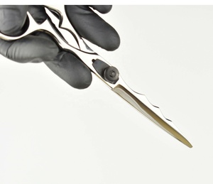 Ciseaux de coiffure professionnels Razor Edge Salon de coiffure Ciseaux de coupe de cheveux - Product Image 5