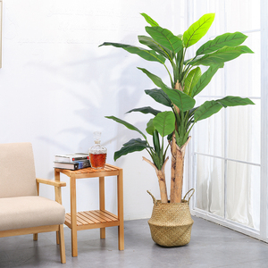 Plátano <span class=keywords><strong>de</strong></span> la mejor calidad, bonsái, <span class=keywords><strong>plantas</strong></span> <span class=keywords><strong>de</strong></span> árbol <span class=keywords><strong>de</strong></span> plástico, hoja <span class=keywords><strong>de</strong></span> plátano artificial, <span class=keywords><strong>plantas</strong></span> falsas, árbol <span class=keywords><strong>de</strong></span> plátano para decoración interior y <span class=keywords><strong>exterior</strong></span> - Product Image 3