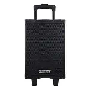 New Arrival Temeisheng A8-9 8 inch subwoofer professional audio speaker outdoor speakers