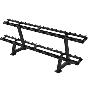 Fitness Equipment Gym Machine 10 Pair 2 Tiers Dumbbell Set with Rack