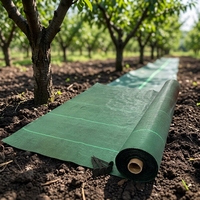 Toile tissée en PP agricole stabilisée anti-UV, toile anti-herbe durable pour couverture de sol de jardin et contrôle des adventices