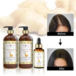 Wholesale Shampoo de Ginger Growth King Ginger Hair Loss Shampoo and Conditioner Kit