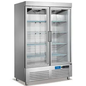 Double Door Commercial Freezer Refrigerator Cooler Equipment Display Glass Upright Freezer