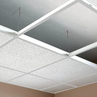 Système de grille de plafond peint de qualité supérieure 24mm 15mm 32mm tailles T grille ignifuge résistant à la Corrosion bureau centre commercial projet industriel