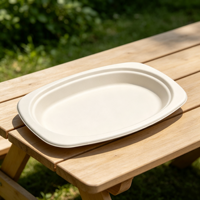 Assiette ovale personnalisable en bagasse OEM ODM, compostable, en canne à sucre, jetable, taille et logo sur mesure pour la restauration en gros