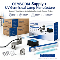 Nettoyeur de serpentin de climatiseur à fixation magnétique, lampe stérilisatrice germicide, purification de toute la maison, lumière UV-C, OEM ODM
