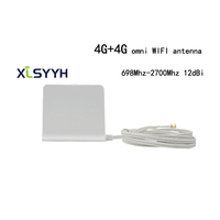 Wifi de largo alcance doble 4G LTE amplificador de señal mimo módem antena externa comunicación con personalización
