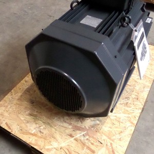 Motor Squirrel M3AA 250brand 2 3GAA251033-ADG NOV - Product Image 4