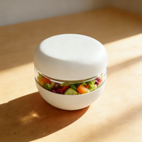 Contenants de stockage alimentaire en verre borosilicate de 16 oz, style européen, avec couvercles hermétiques, anti-fuite, anti-déversement, pour les repas à emporter, la préparation de salades