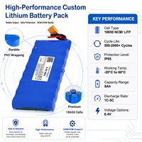 6.4V 8Ah 51.2Wh Paket Baterai Lithium Ion LiFePO4 Kustom Berdampingan dengan BMS untuk Sistem Keamanan Lampu Taman Tenaga Surya OEM ODM