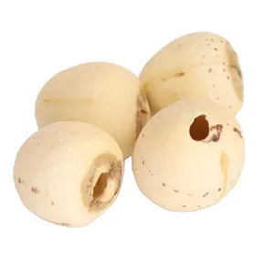 Chinese Big Green White Organic Dried Lotus Seed