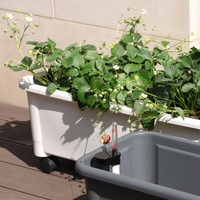 Nouveauté : Pots de plantes en plastique écologiques modernes et mobiles, rectangulaires, auto-arrosants, pour jardin, fruits, légumes, intérieur