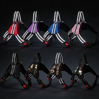 Harnais pour animaux de compagnie réglable sur mesure, prix d'usine, vente en gros, pour chiens et chats, respirant, grand, sans traction, solide, simple, en nylon, confortable à porter