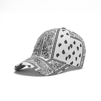 Casquette de baseball unisexe de haute qualité avec design rétro imprimé, streetwear premium, hip hop moderne, respirante, réglable, protection solaire