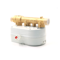 Compteur d'eau en laiton à ultrasons Communication filaire/sans fil Compatible M-Bus Modbus RS485 LoRaWan Lora Modules RF sans fil