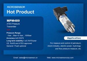 Transductor MICROSENSOR MPM489 4-20mA a Prueba de Explosiones con Pantalla, Material SS316L, IP65 - Product Image 2