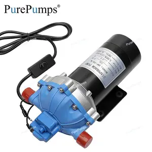 DC强力国产微型DP70高GPM更大流动饮用水增压隔膜泵