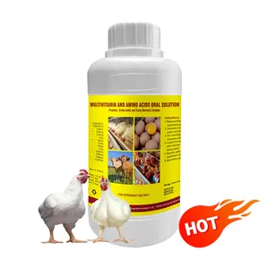 Solución oral para aves de corral, potenciador de huevo líquido para ponedoras, gallina, ganado, vaca, cabra, vitamina AD3E, multivitaminas para ganado ovino