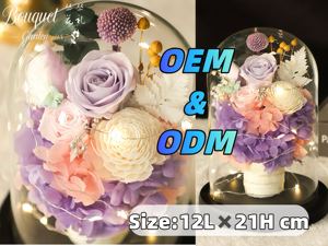 Vente en gros de roses <span class=keywords><strong>éternelle</strong></span>s sous cloche en verre, boîte cadeau avec lumière LED, fleurs réelles conservées - Décoration pour <span class=keywords><strong>la</strong></span> Saint-Valentin, mariage, Noël, remise de diplôme - Product Image 2