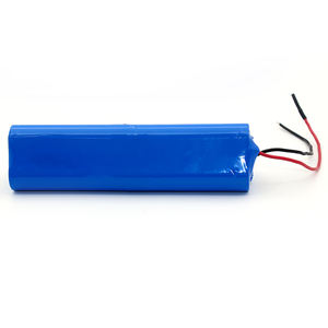 Paket Baterai 18650 22.2V 2500MAh 55.5Wh 6S1P Paket Baterai Lithium Ion untuk Penyedot Debu - Product Image 4