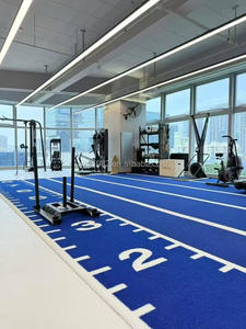  Césped <span class=keywords><strong>Artificial</strong></span> para Pistas de Trineo de 15 mm, Césped <span class=keywords><strong>Artificial</strong></span> para Interiores para Pisos de Fitness y Áreas de Entrenamiento en Gimnasios - Product Image 3