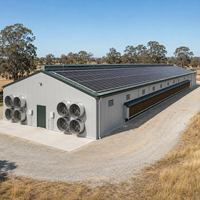 Bâtiment avicole préfabriqué en structure acier pour élevage de poulets de chair et pondeuses, avec toit à panneaux solaires et ventilation personnalisée