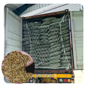 Vers de farine jaunes séchés pour animaux de compagnie, <span class=keywords><strong>insectes</strong></span> séchés, aliments riches en protéines pour poissons - Product Image 1