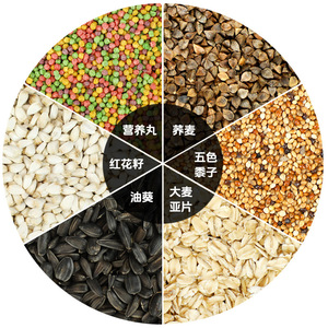 Alimento para Loros, Mezcla de Granos para Conures, Periquitos, Cacatúas, Aves Peony, Nutrición a Base de Mijo, Tamaño a Granel - Product Image 2