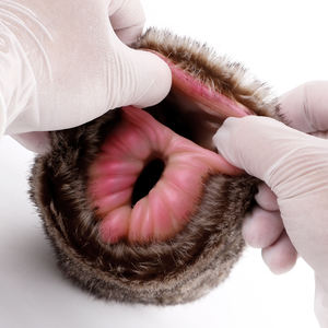 G-F6233 ファンタジーライオンタイトヴァギナフェイクファーマスタベータープラッシュモンスターソフトシリコンメンズポケットプッシーマスタベーターカップ卸売 - Product Image 6