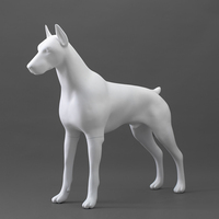 Maniquí de Perro Dober-A, Maniquí de Fibra de Vidrio para Exhibición de Accesorios para Perros, Se Aceptan Pedidos de Muestra