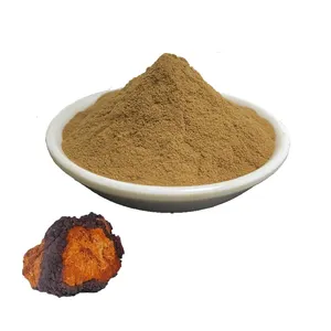 Gute Qualität Niedriger Preis Chaga Pflanzen extrakt 30% Beta Glucan Chaga Pilzex trakt Pulver