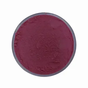 Natural High Quality Blueberry Extract Anthocyanin Frozen Dried Blueberry Juice Powder