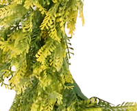 Vente en gros populaire guirlande suspendue de simulation plante artificielle herbe fleur artificielle pour la décoration intérieure et extérieure
