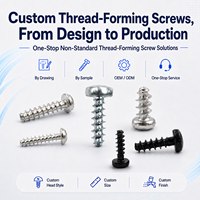 OEM Screw Thread-Forming Design 2mm 2.5mm 3.5mm 16mm 25mm 35mm for Appliance Plastic Parts