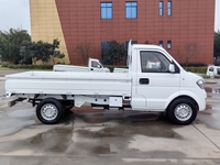 Pick-up électrique Ruichi EC31 RHD, capacité de charge de 1,3T, garantie de 8 ans, fourgonnette électrique pour les entreprises