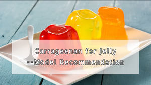 フードメイト フードジェル カラギーナン M213 食品グレード粉末増粘剤 25kg袋 - Product Image 3