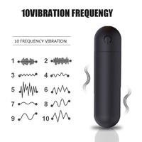 Großhandel Rosa Bullet Vibrator 10 Geschwindigkeiten Leistungsstarker Mini-Vibrator für Frauen USB-Aufladung Metall Silber Lila Rot Bullet Vibrator