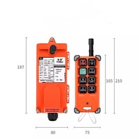 Télécommande sans fil industrielle pour grue