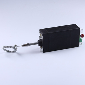 Controlador de Aceleración Eléctrico RY-TJQ 12V 24V, Control de Velocidad del Servomotor para Actualización y Reequipamiento - Product Image 5