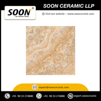 Nouveau design Meilleure qualité 600x600 Carreaux de sol en céramique pour villa, maison et bureau, application du fournisseur indien