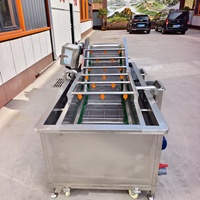 Commerciële automatische nieuwe multifunctionele fruit- en groentewasmachine met watercirculatie reiniging