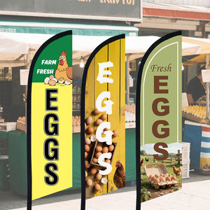 Spanduk Pantai Swooper Kustom Hanya untuk Promosi & Dekorasi Acara Tanpa Tiang Bendera Sayap Bulu Telur Segar dari Peternakan Bahan Polyester untuk Luar Ruangan - Product Image 5