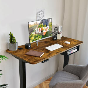 DB 48-Inch <b>Electric</b> Height Adjustable USB Port <b>Standing</b> Computer <b>Desk</b> - Product Image 1